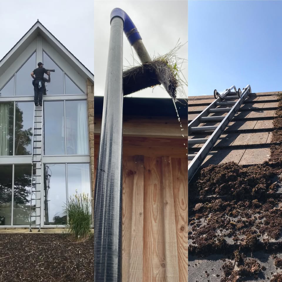 Carey Exterior Cleaning at work on windows, gutters and a roof